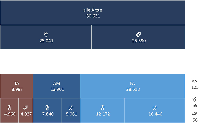 Grafik 04: Strukturdiagramm Ärzteschaft - Kopfzahlen der Kammermitglieder - Ärztinnen und Ärzte